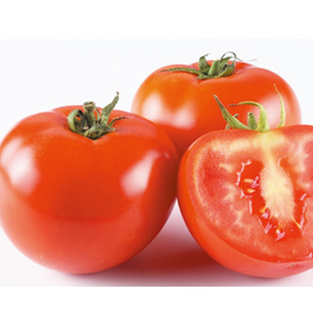 产品中心标题五