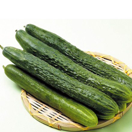 产品中心标题四