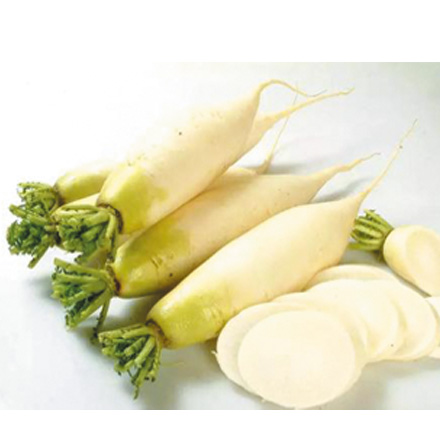 产品中心标题九