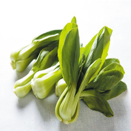 产品中心标题八